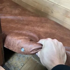 pets 1